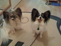 /album/fotogaleria/cami-a-gina-jpg/